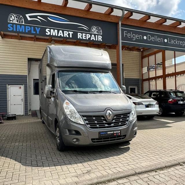 Pferdetransporter auf Renault-Master-Basis